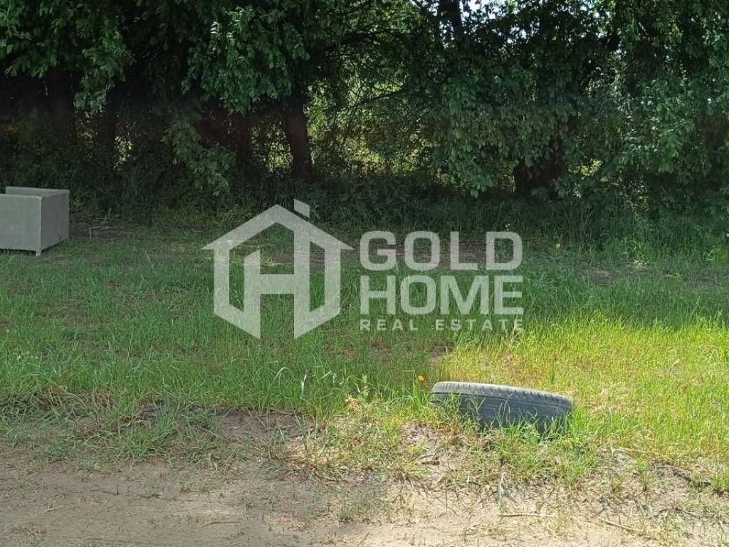 ΑΠΟΨΗ ΟΙΚΟΠΕΔΟΥ