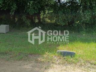 ΑΠΟΨΗ ΟΙΚΟΠΕΔΟΥ