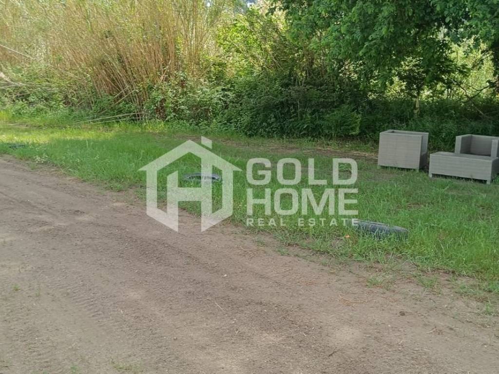 ΑΠΟΨΗ ΟΙΚΟΠΕΔΟΥ