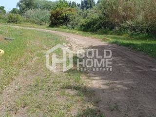 ΑΠΟΨΗ ΟΙΚΟΠΕΔΟΥ