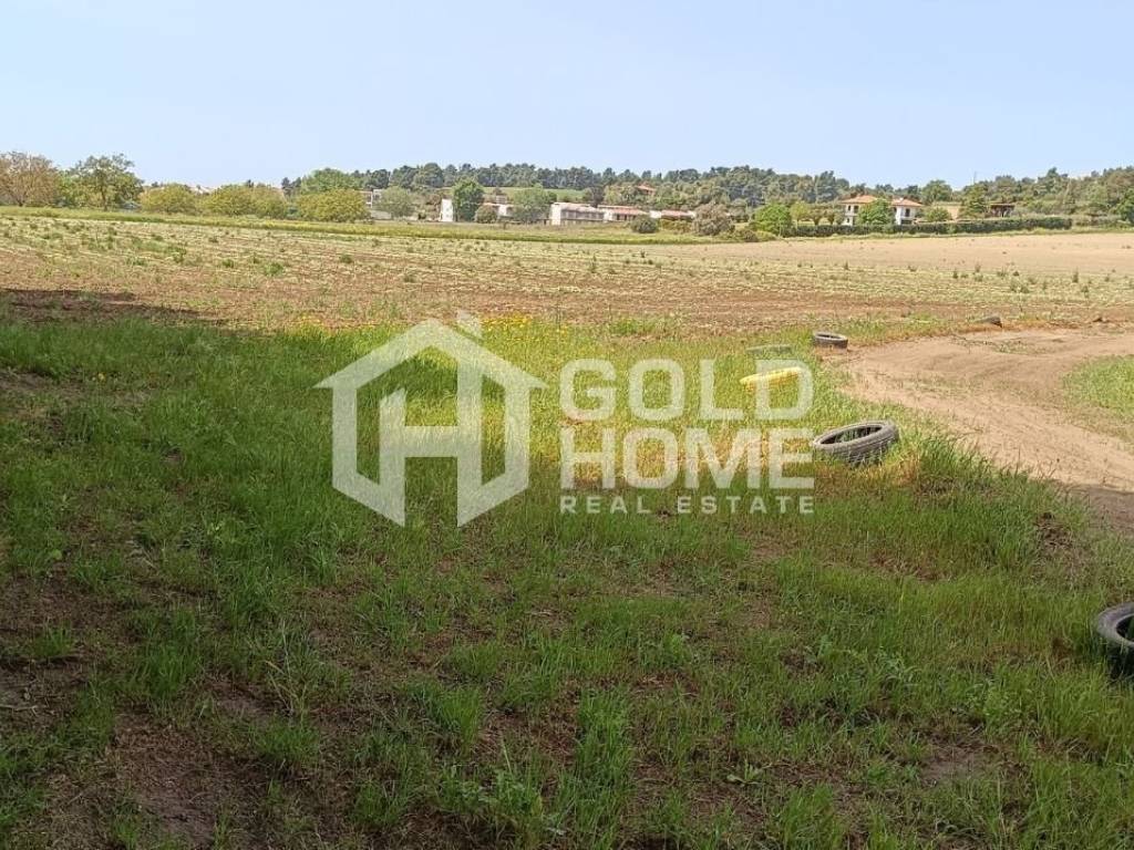 ΑΠΟΨΗ ΟΙΚΟΠΕΔΟΥ