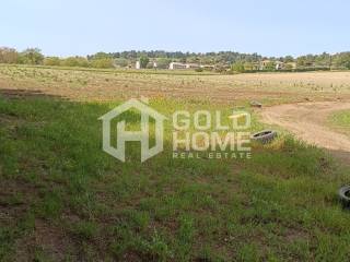 ΑΠΟΨΗ ΟΙΚΟΠΕΔΟΥ