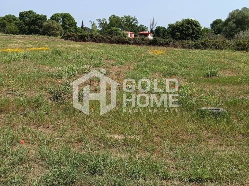 ΑΠΟΨΗ ΟΙΚΟΠΕΔΟΥ