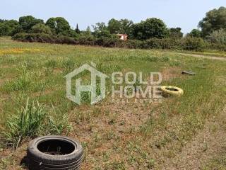 ΑΠΟΨΗ ΟΙΚΟΠΕΔΟΥ