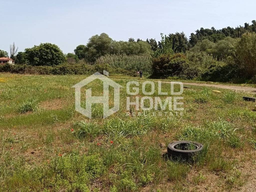 ΑΠΟΨΗ ΟΙΚΟΠΕΔΟΥ