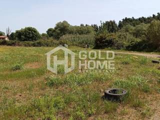 ΑΠΟΨΗ ΟΙΚΟΠΕΔΟΥ