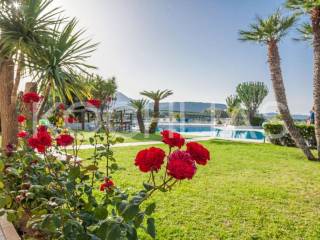 Ύπαρξη ανθρώπου