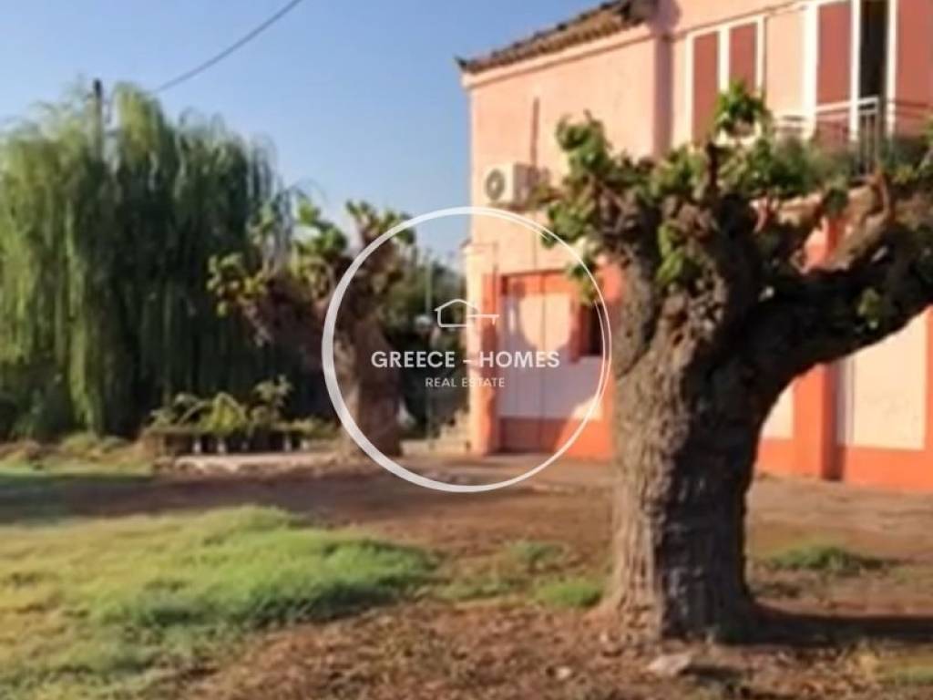 Εξωτερικός χώρος