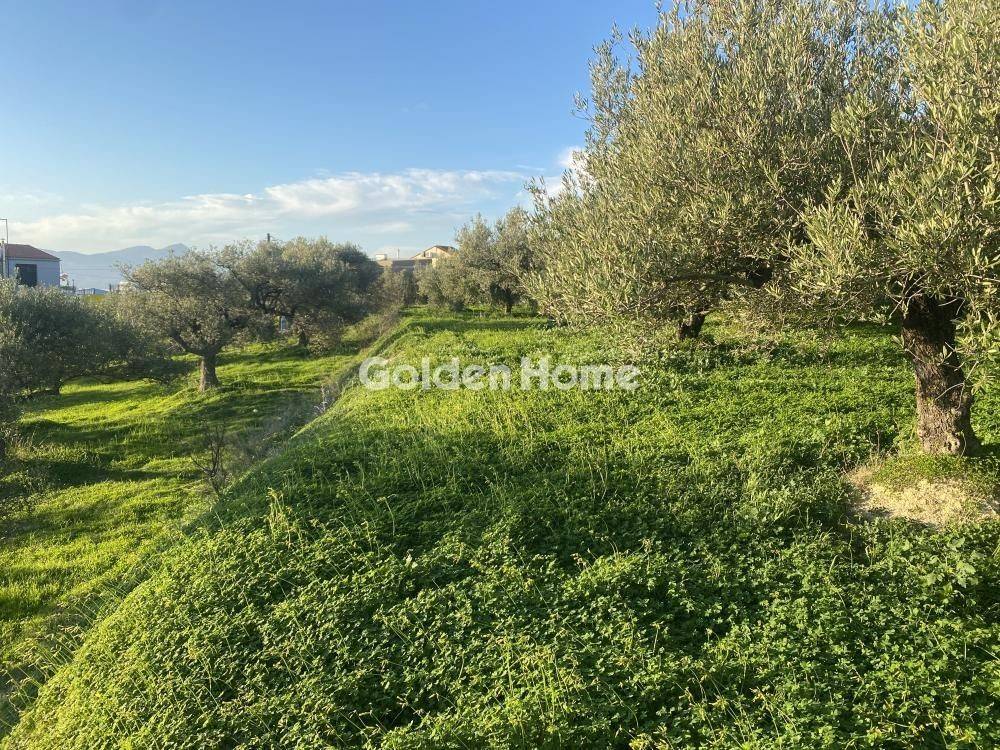 Εξωτερικός Χώρος