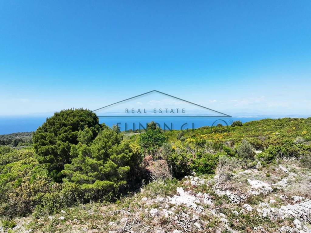 Η όμορφη θέα από το αγροτεμάχιο