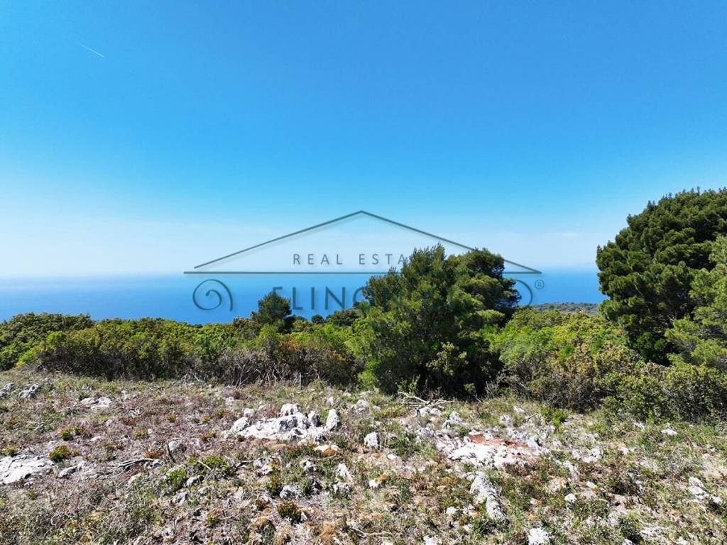 Η όμορφη θέα από το αγροτεμάχιο