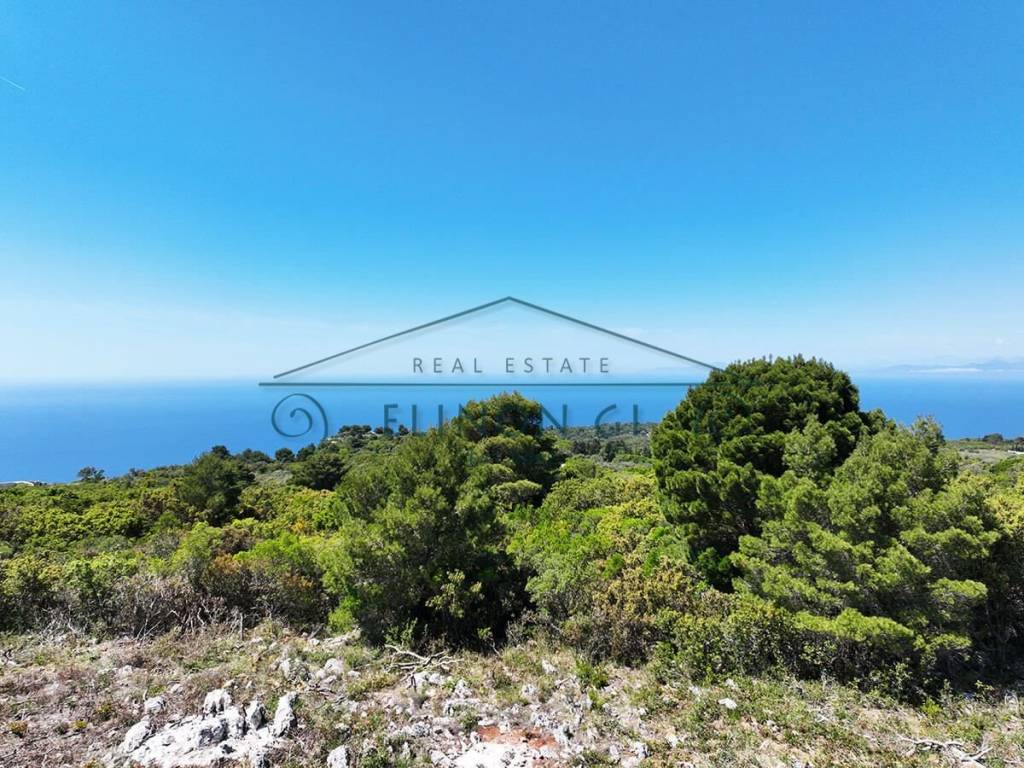 Η όμορφη θέα από το αγροτεμάχιο