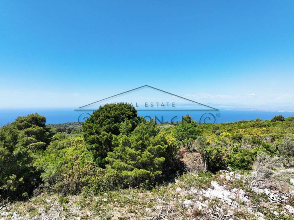 Η όμορφη θέα από το αγροτεμάχιο