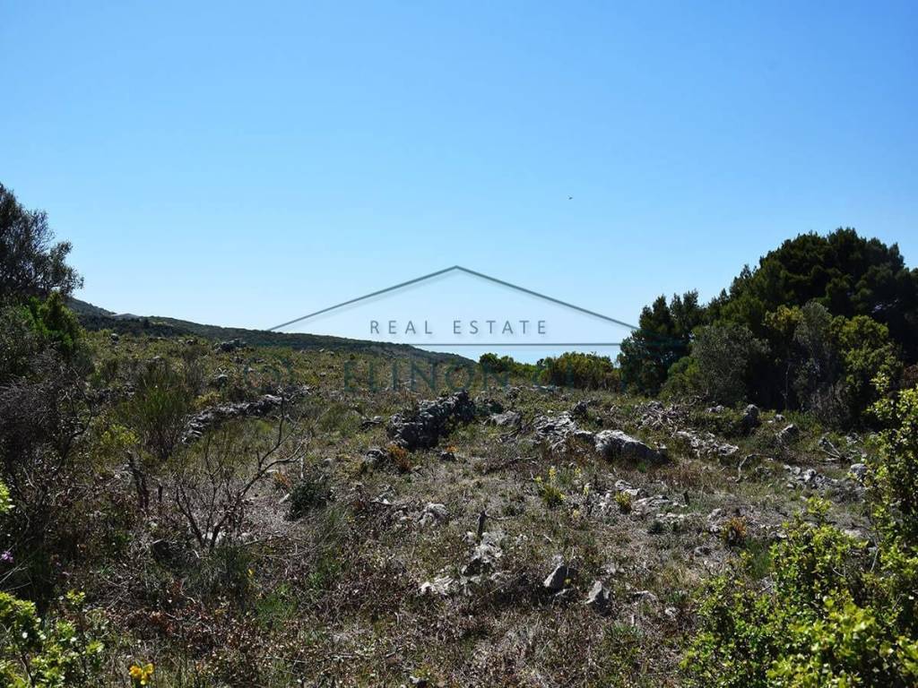 Το αγροτεμάχιο