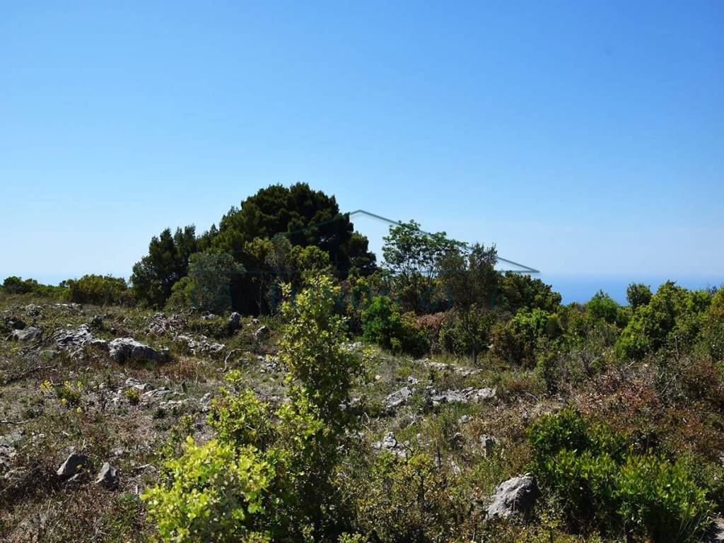 Το αγροτεμάχιο