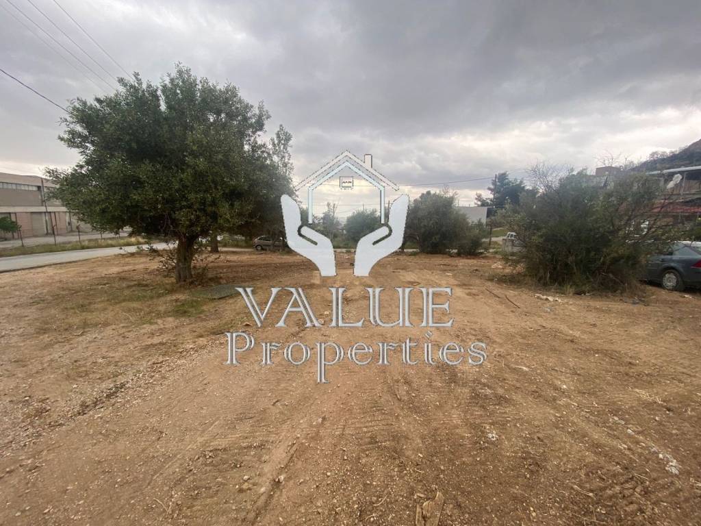 Εξωτερικοι χώροι