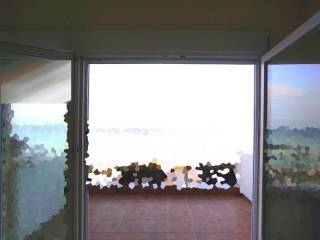 Σαλοκουζίνα