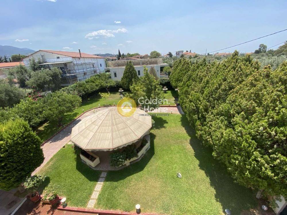 Ανελκυστήρας