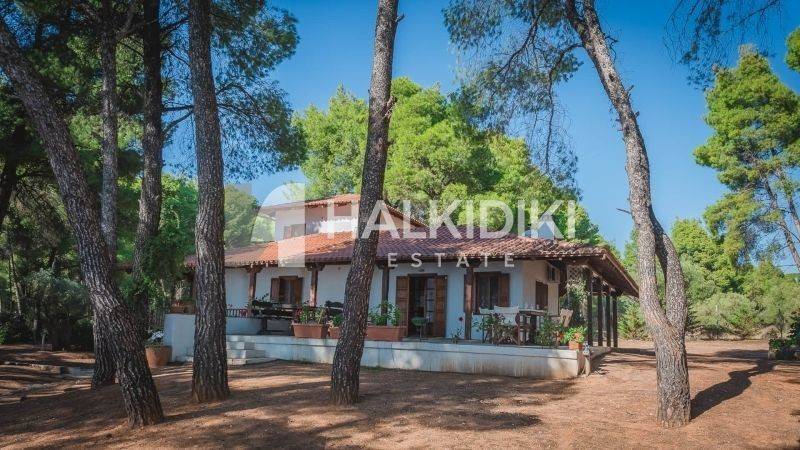 Ύπαρξη ανθρώπου