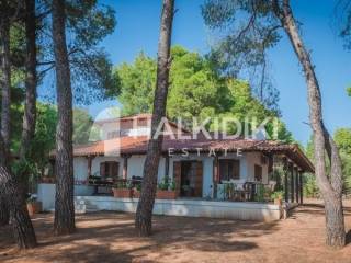 Ύπαρξη ανθρώπου