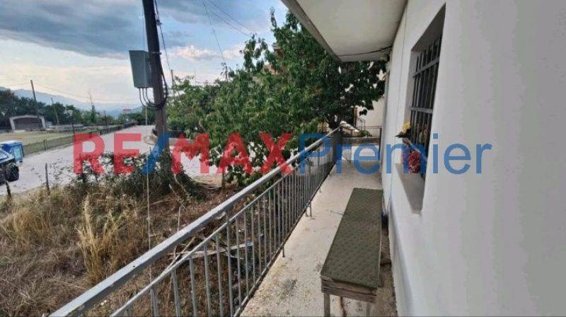 Ύπαρξη ανθρώπου