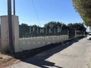 Εξωτερικοι χώροι