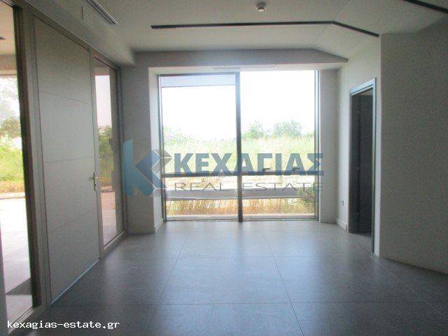 ΕΙΣΟΔΟΣ ΚΤΙΡΙΟΥ - ΚΟΙΝΟΧΡΗΣΤΟΙ ΧΩΡΟΙ