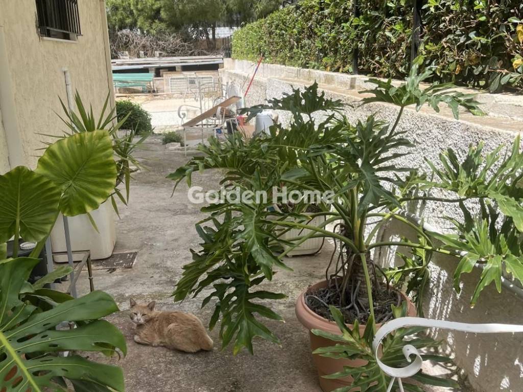 Εξωτερικός Χώρος