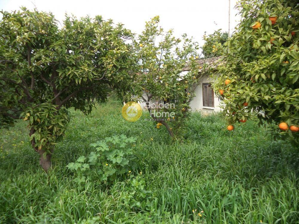 Εξωτερικός Χώρος