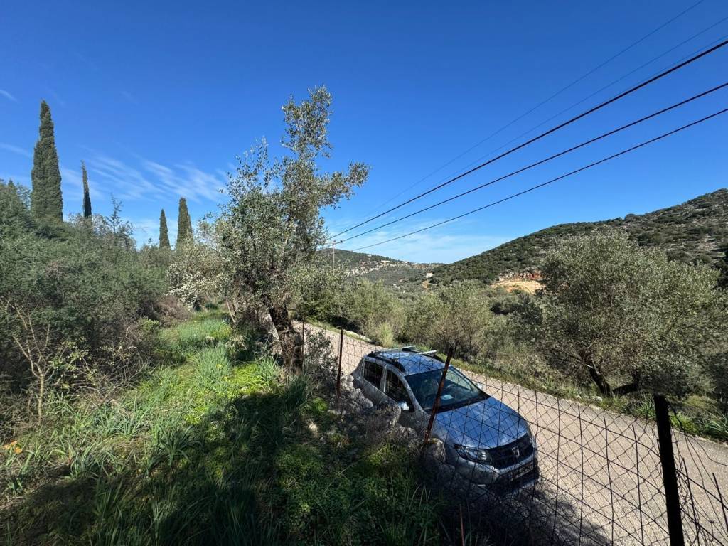 View towards the road from land for sale in Vathi, Ithaca