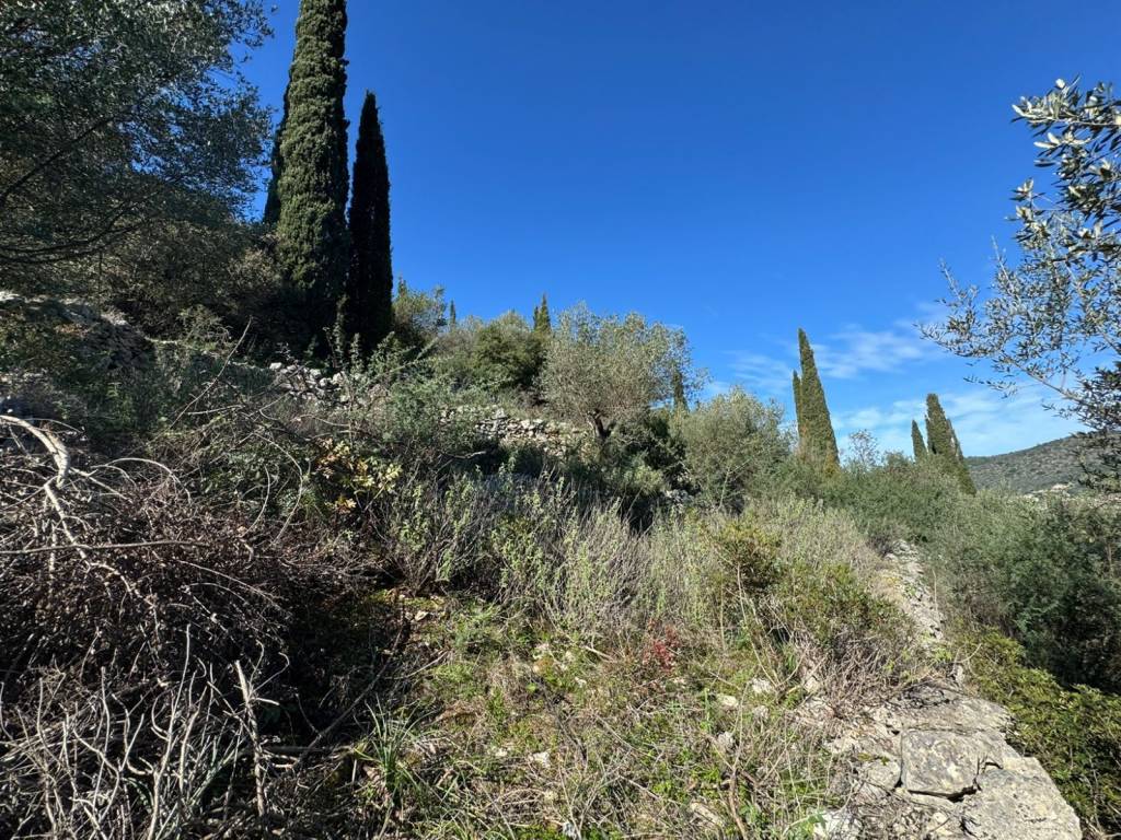 Terrain and landscape of land for sale in Vathi Ithaca