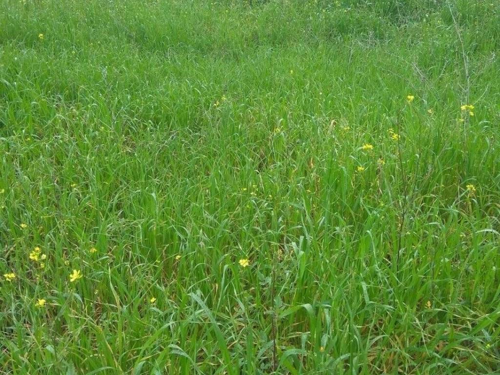 Εξωτερική άποψη