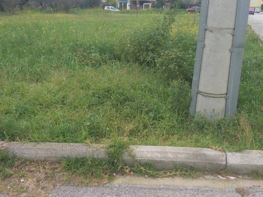 Εξωτερική άποψη