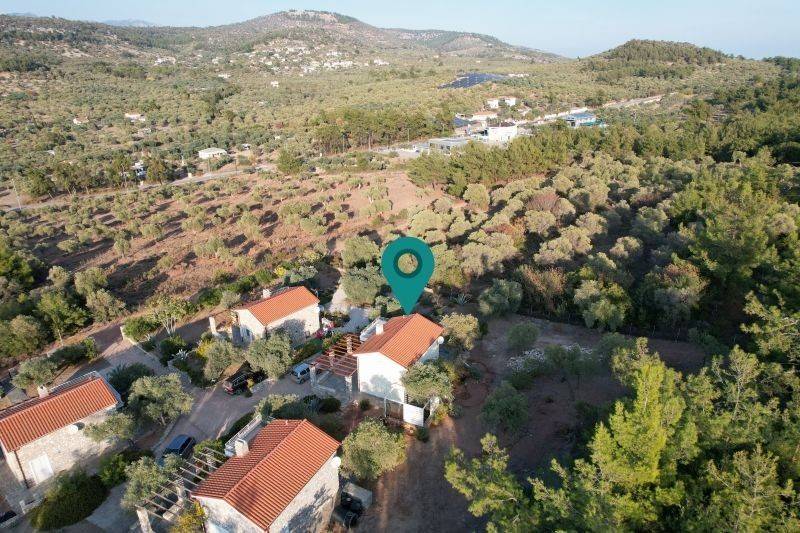 Ύπαρξη ανθρώπου