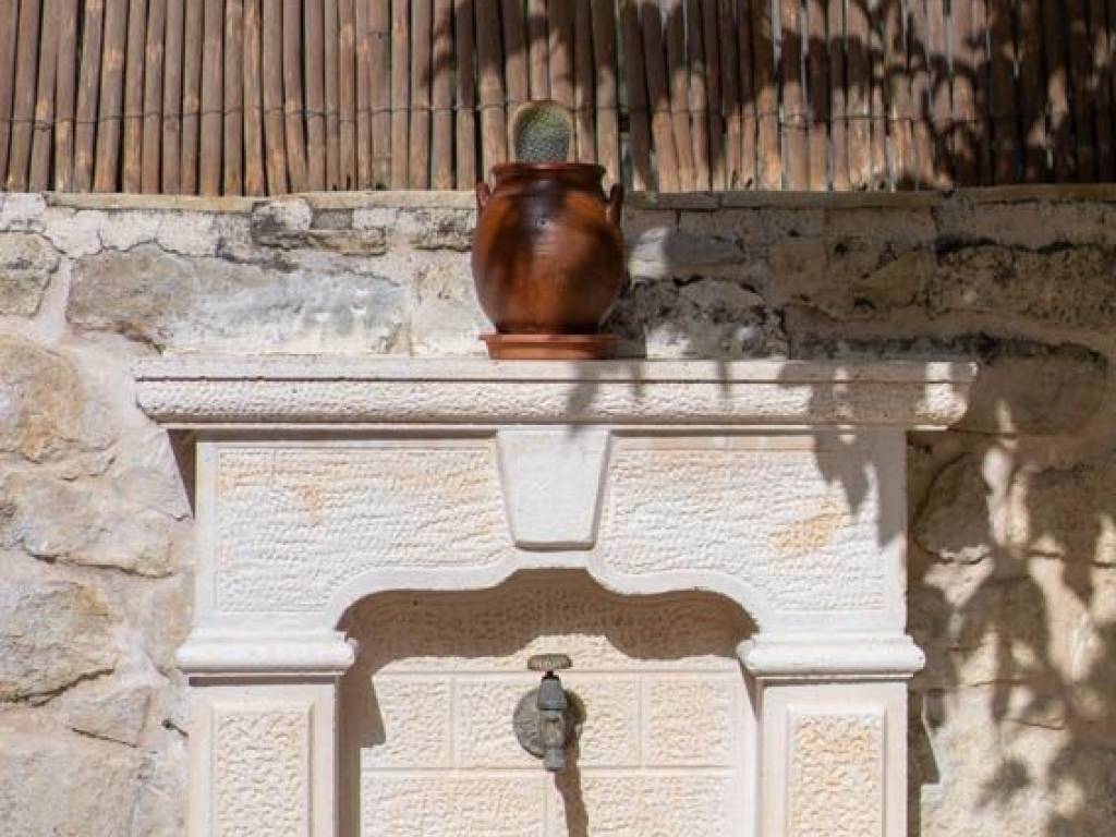 Petrochtiste bryse exoterika