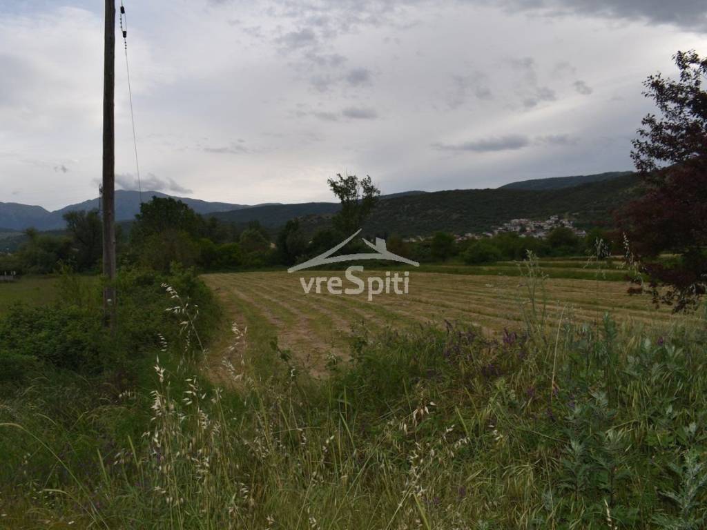 ΑΠΟΨΗ ΑΓΡΟΤΕΜΑΧΙΟΥ