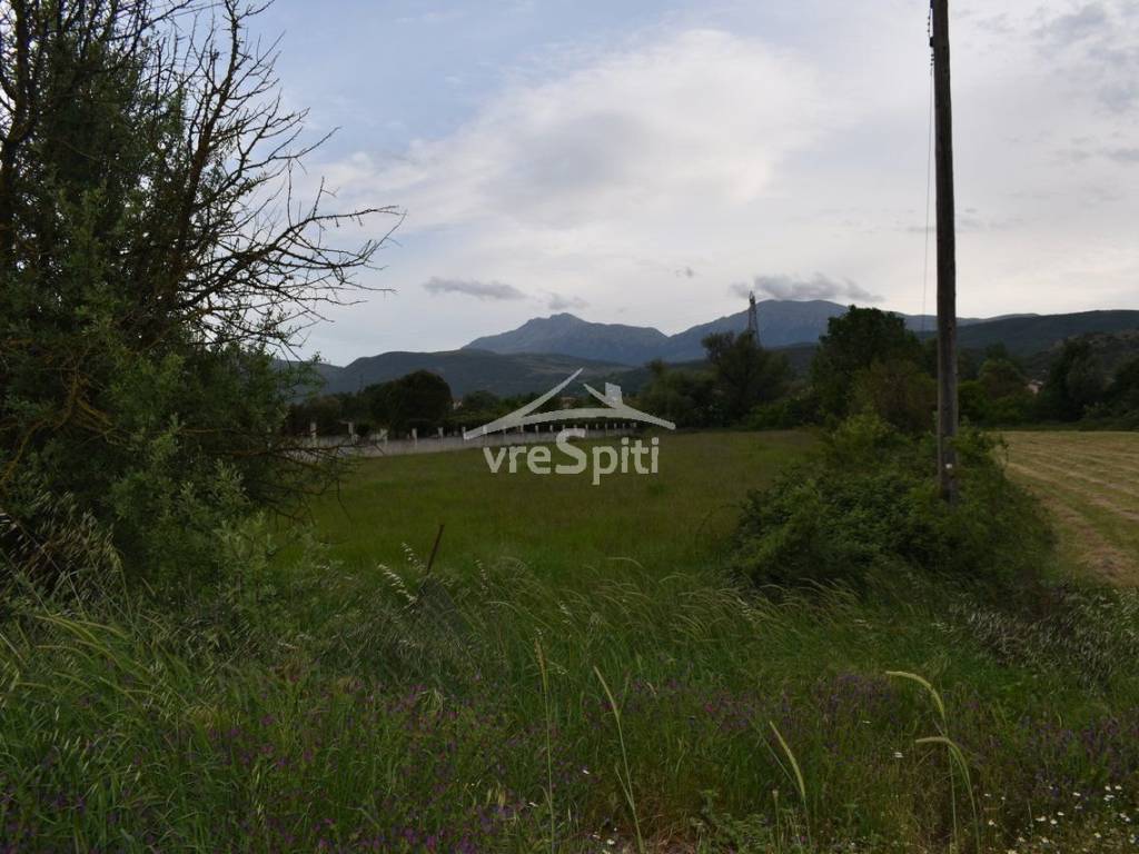 ΑΠΟΨΗ ΑΓΡΟΤΕΜΑΧΙΟΥ