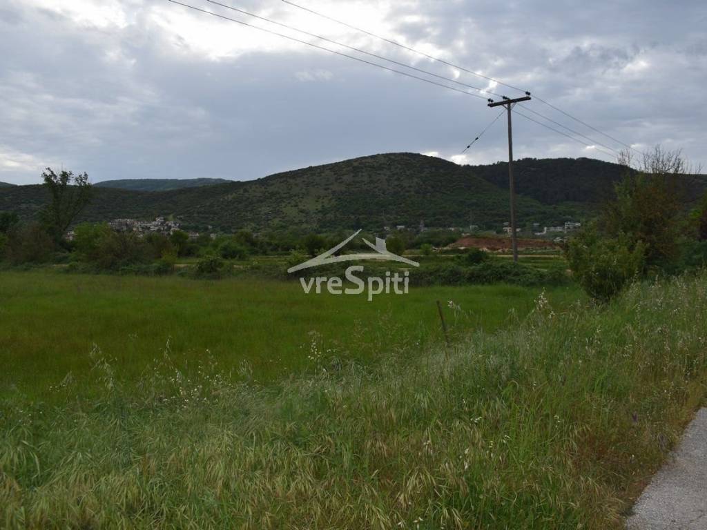 ΑΠΟΨΗ ΑΓΡΟΤΕΜΑΧΙΟΥ