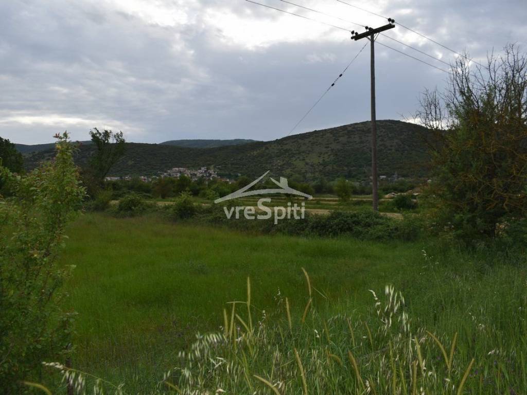 ΑΠΟΨΗ ΑΓΡΟΤΕΜΑΧΙΟΥ