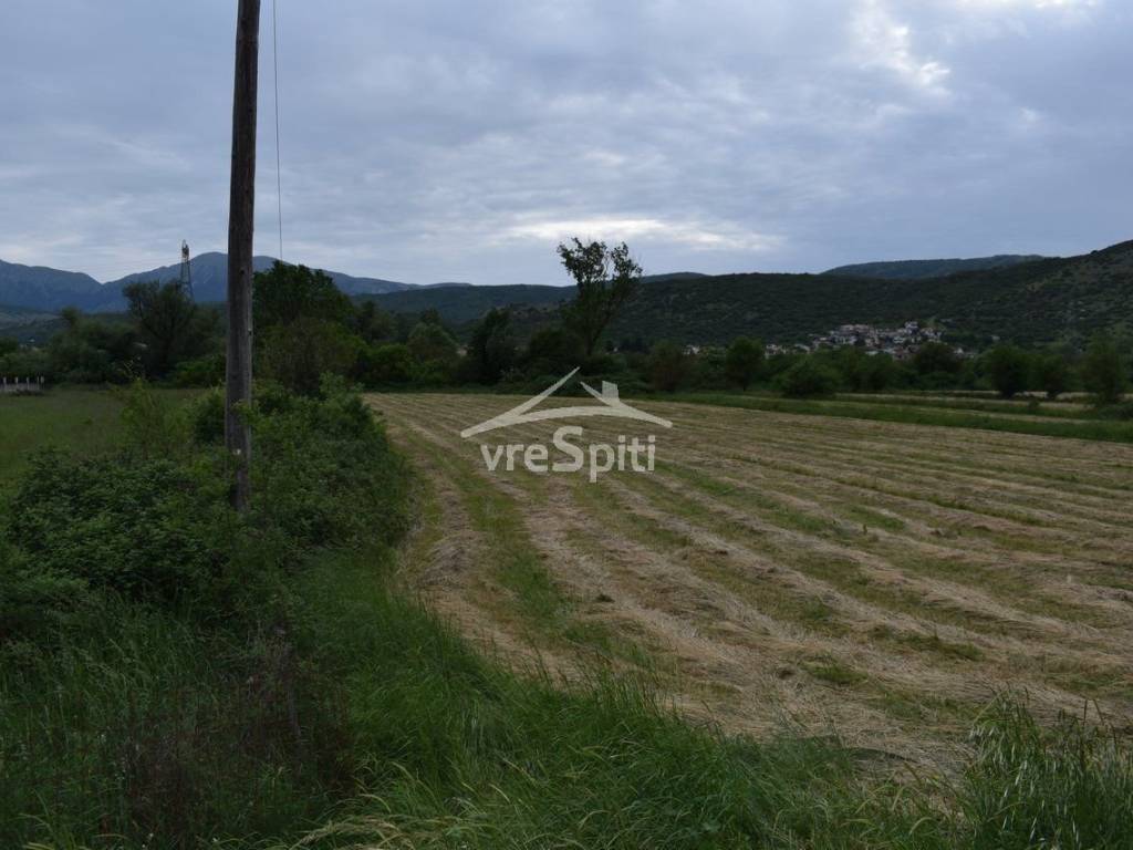 ΑΠΟΨΗ ΑΓΡΟΤΕΜΑΧΙΟΥ