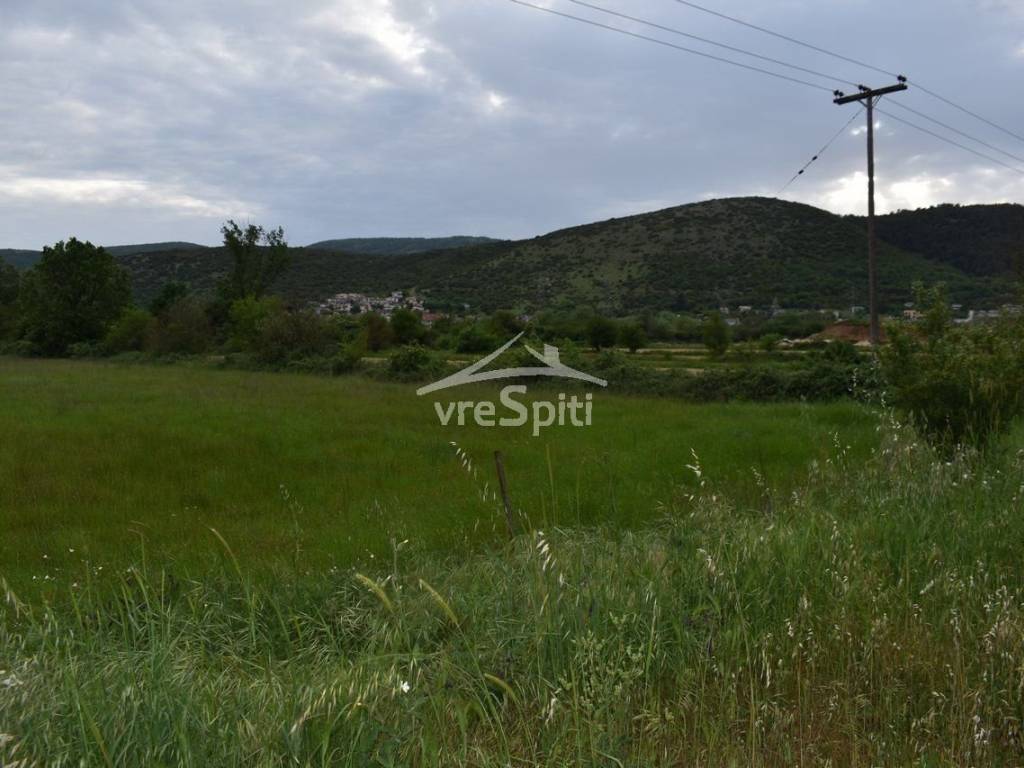 ΑΠΟΨΗ ΑΓΡΟΤΕΜΑΧΙΟΥ