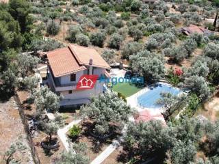 Ύπαρξη ανθρώπου