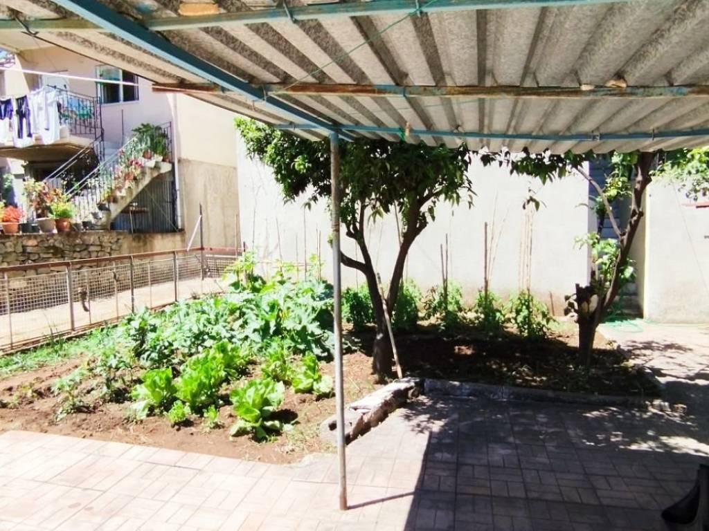 Αυλή και κήπος