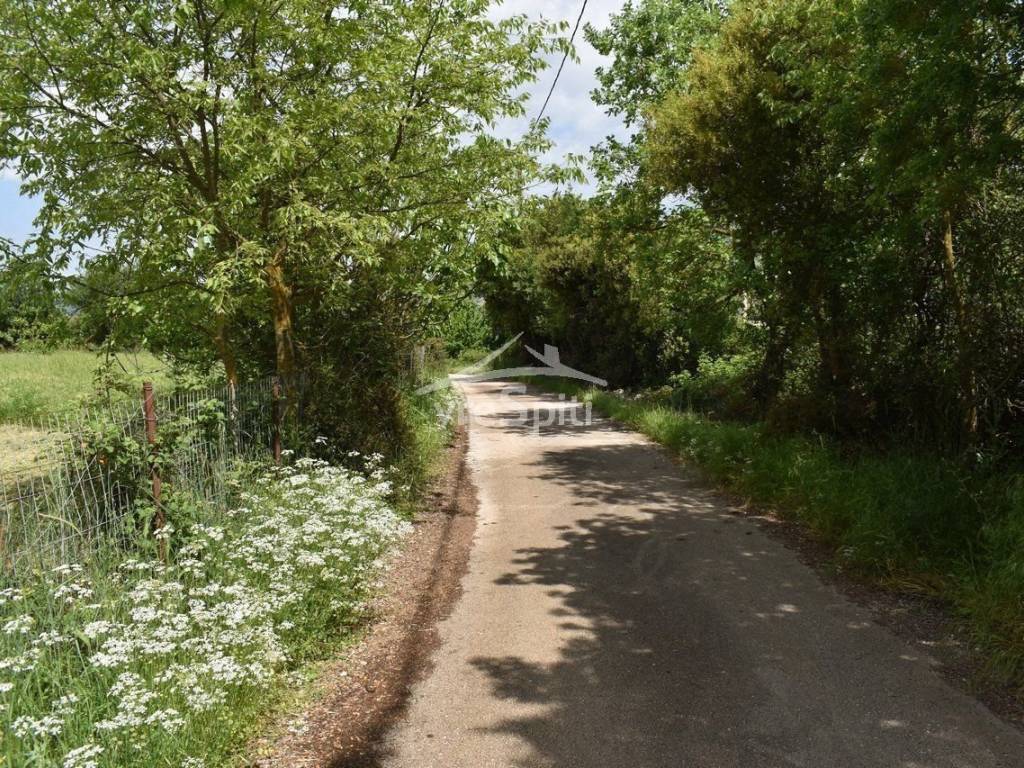 ΑΠΟΨΗ ΟΙΚΟΠΕΔΟΥ