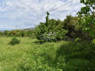 ΑΠΟΨΗ ΟΙΚΟΠΕΔΟΥ