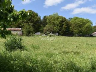 ΑΠΟΨΗ ΟΙΚΟΠΕΔΟΥ