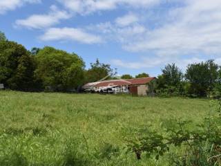 ΑΠΟΨΗ ΟΙΚΟΠΕΔΟΥ