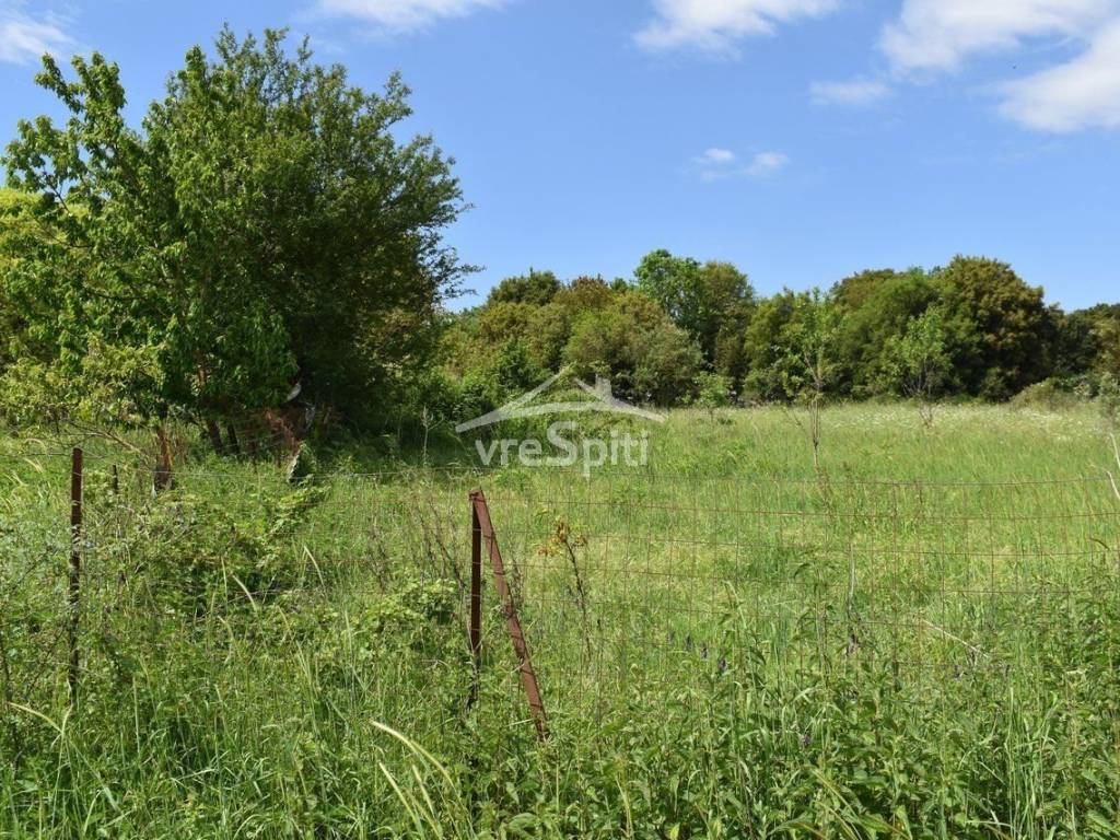 ΑΠΟΨΗ ΟΙΚΟΠΕΔΟΥ