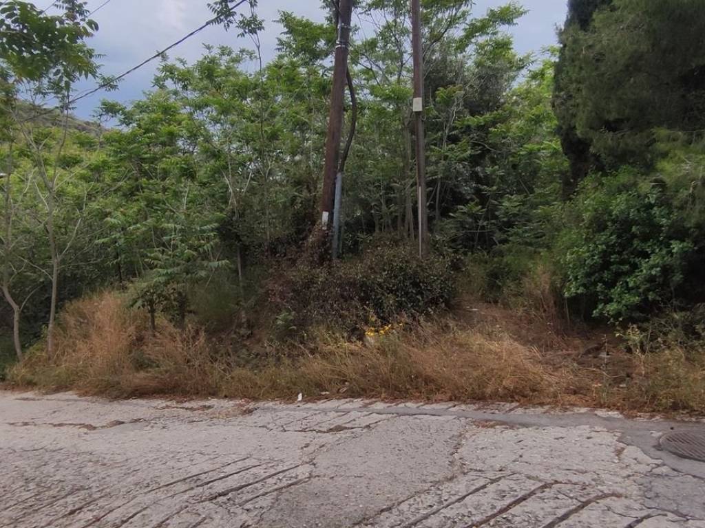 Εξωτερικοι χώροι