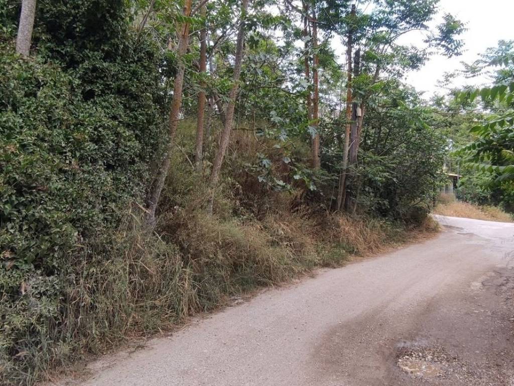 Εξωτερικοι χώροι